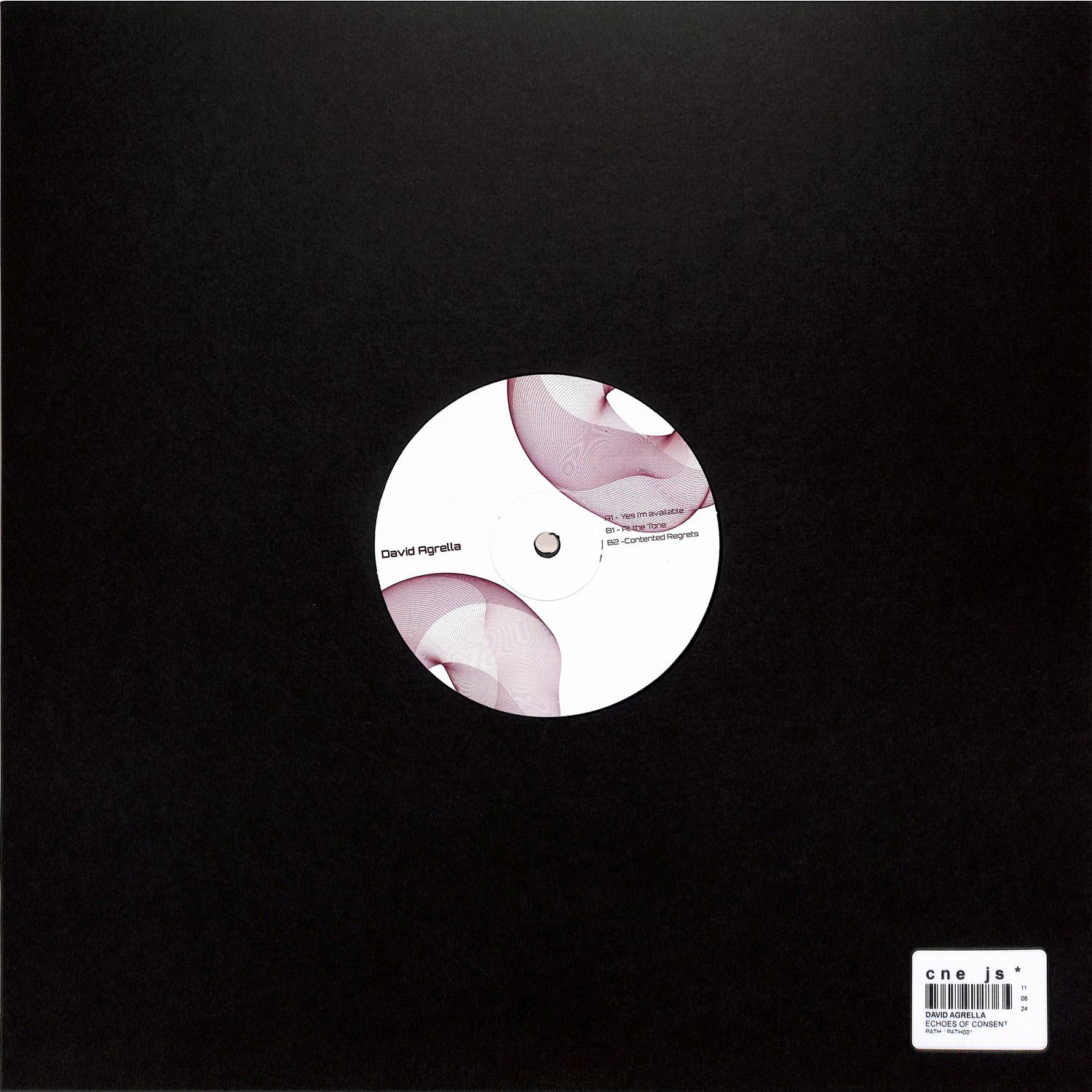 David Agrella - ECHOES OF CONSENT