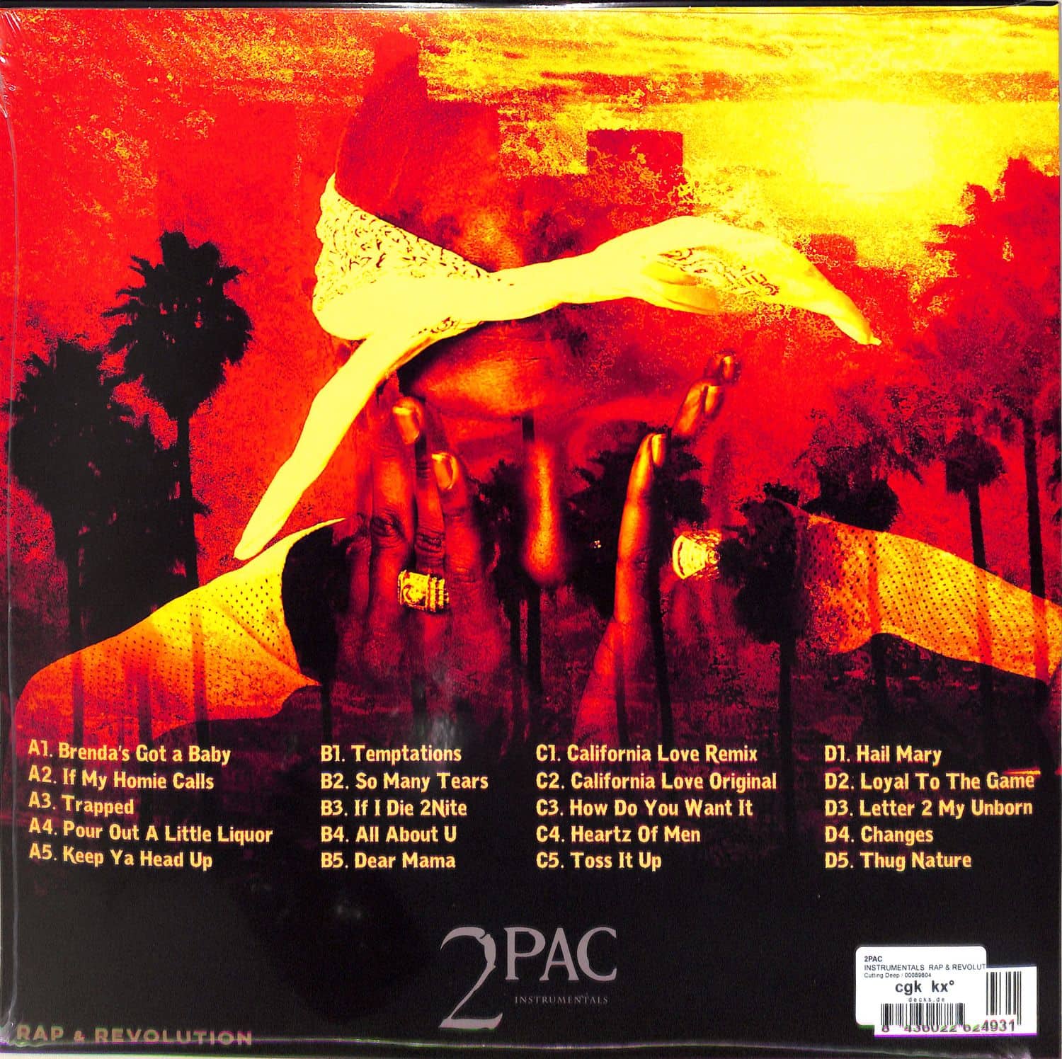 西2discs LP 2Pac Rap &amp;amp; Revolution (Instrumentals) CDRSI010 Cutting Deep Records /00520 2Pac - Rap & Revolution (Instrumentals) - 2x LP Vinyl - Ear