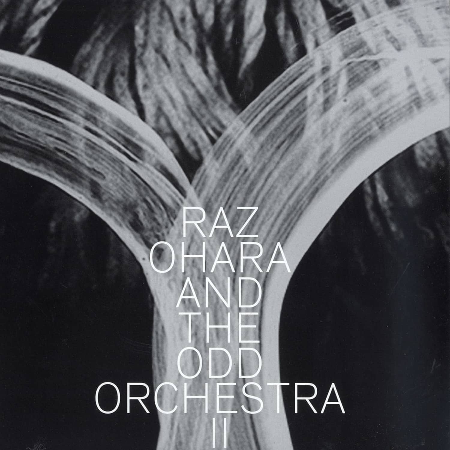 Raz Ohara And The Odd Orchestra - II