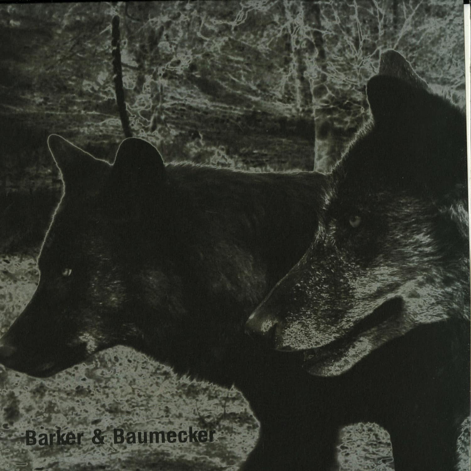 Barker & Baumecker - TRANSSEKTORAL 