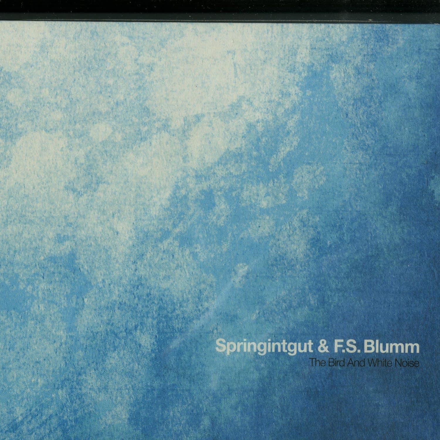 Springintgut & F.S. Blumm - THE BIRD AND WHITE NOISE 