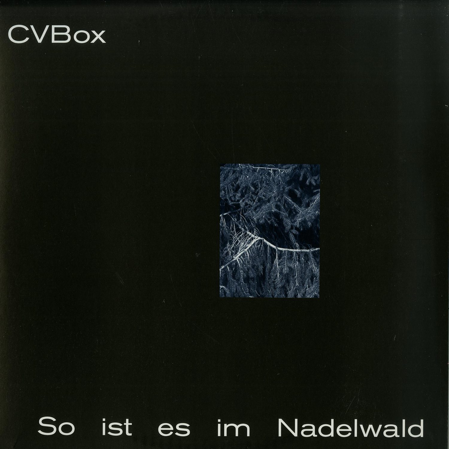 CVBox - SO IST ES IM NADELWALD 