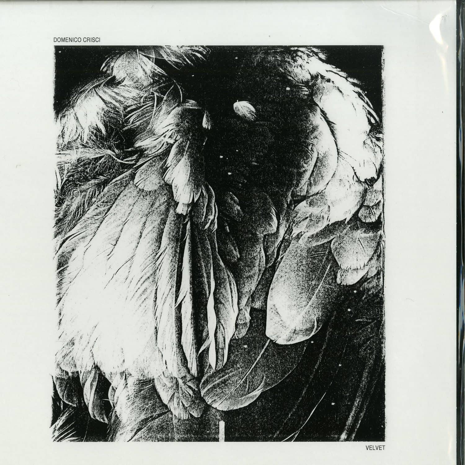 Domenico Crisci - VELVET