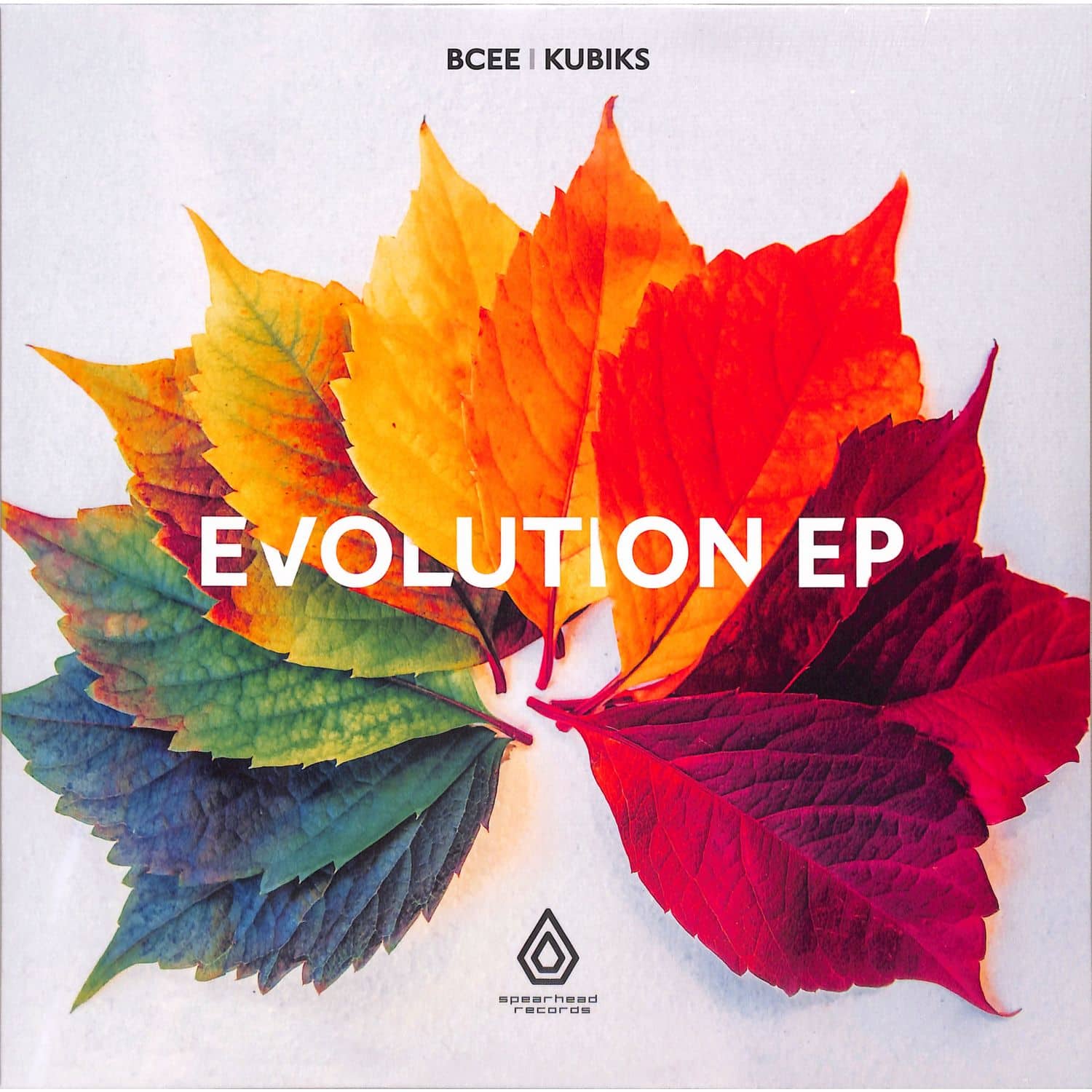 Bcee Kubiks - THE EVOLUTION EP 