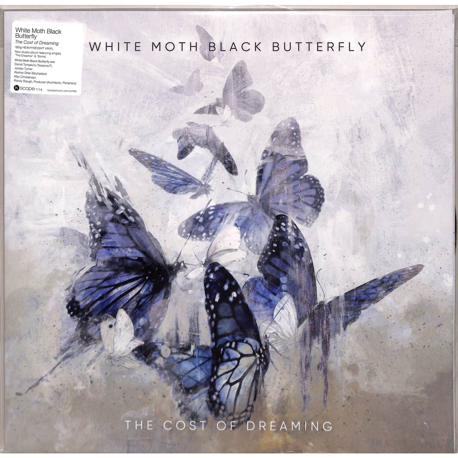 White Moth Black Butterfly - THE COST OF DREAMING 