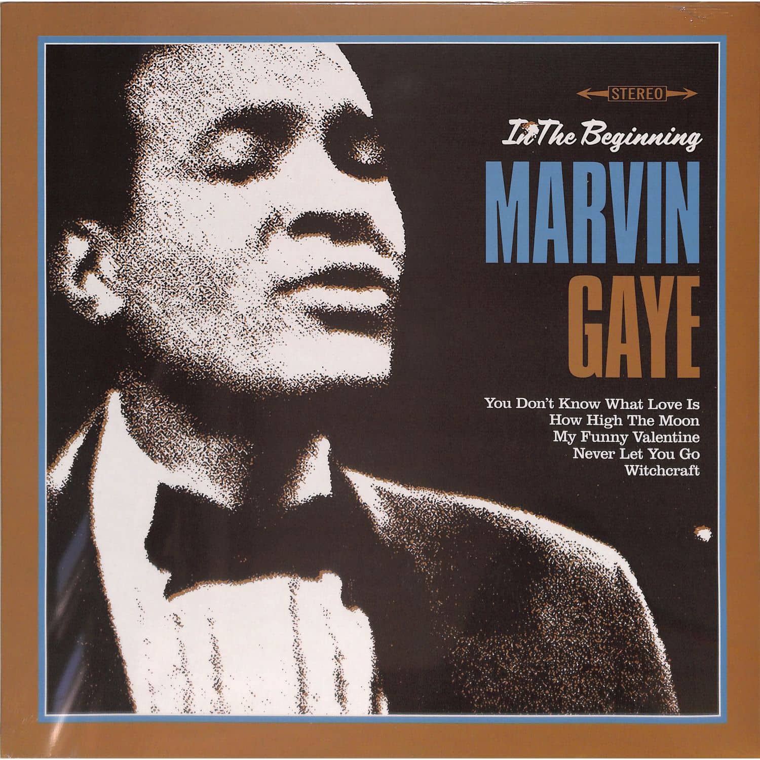 Marvin Gaye - IN THE BEGINNING 