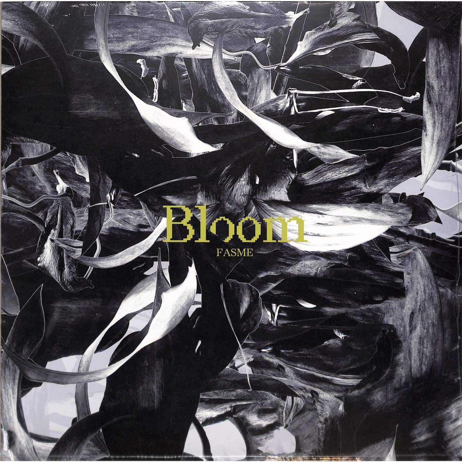 Fasme - BLOOM 