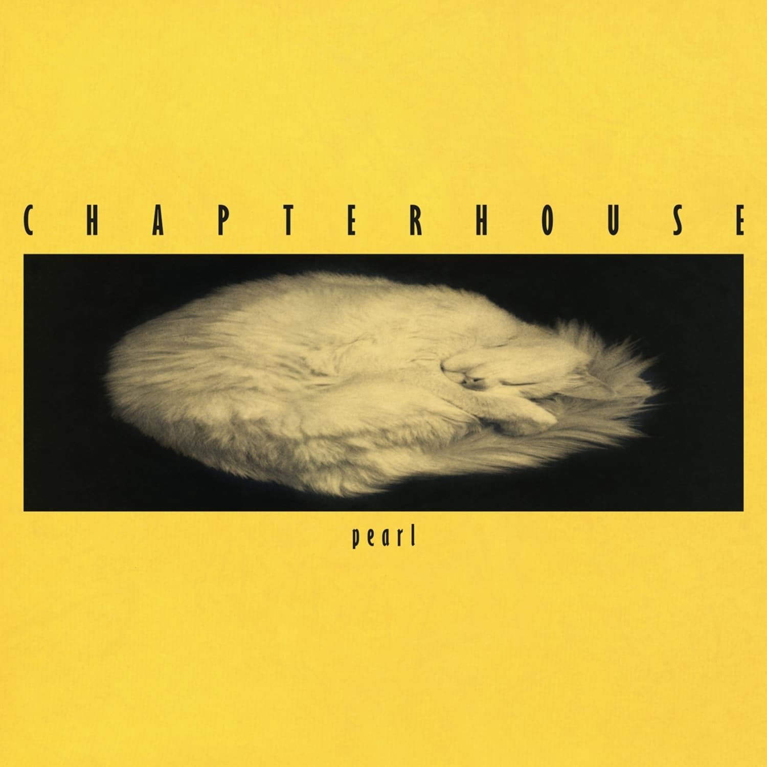 Chapterhouse - PEARL