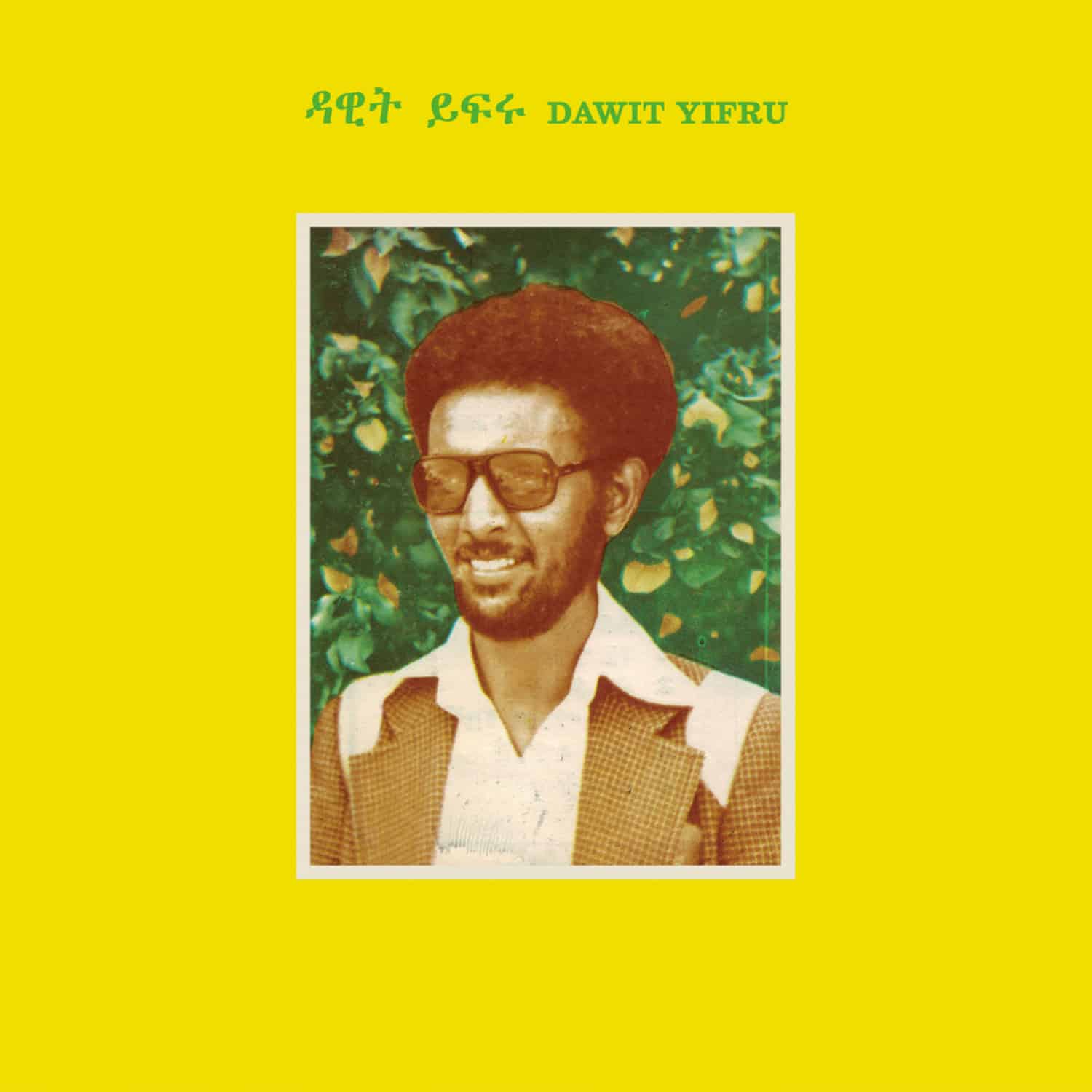 Dawit Yifru - DAWIT YIFRU 