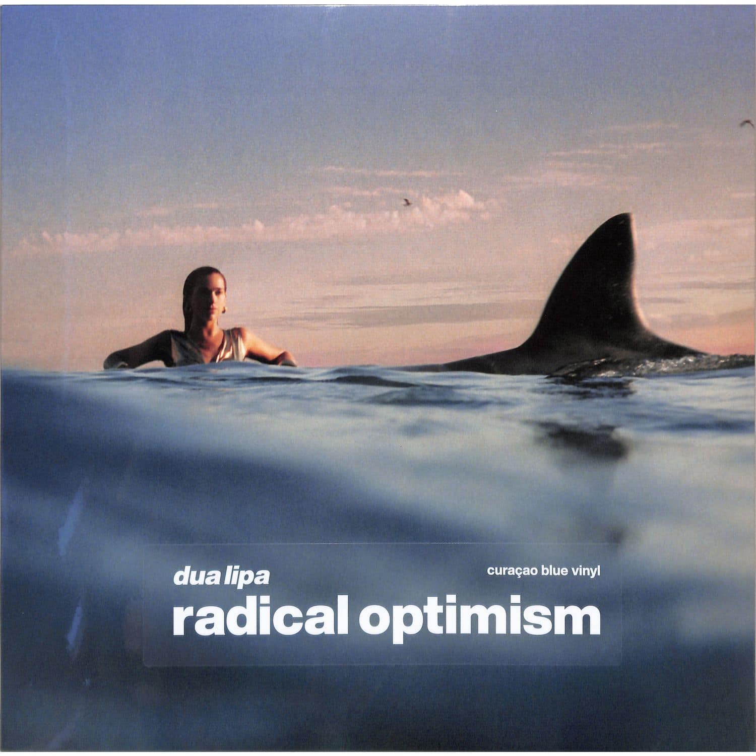 Dua Lipa - RADICAL OPTIMISM 