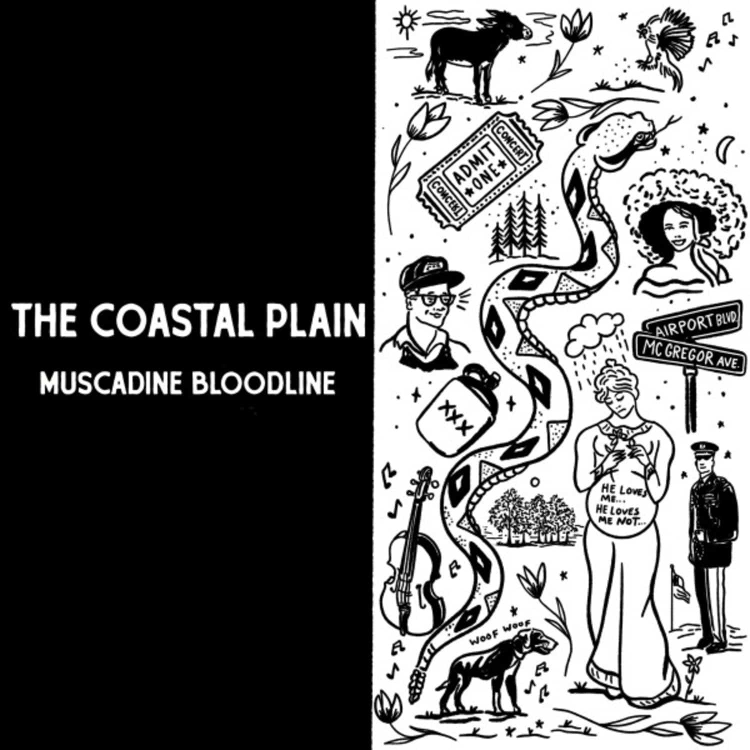 Muscadine Bloodline - THE COASTAL PLAIN 