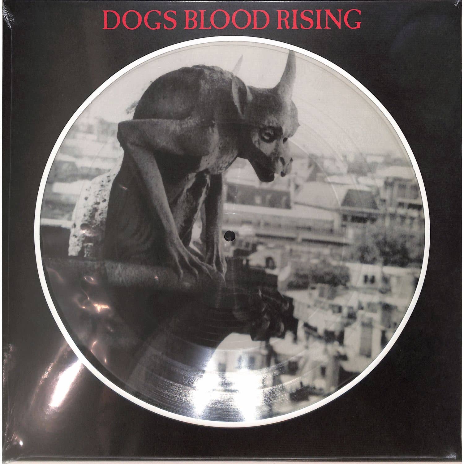 Current 93 - DOGS BLOOD RISING 