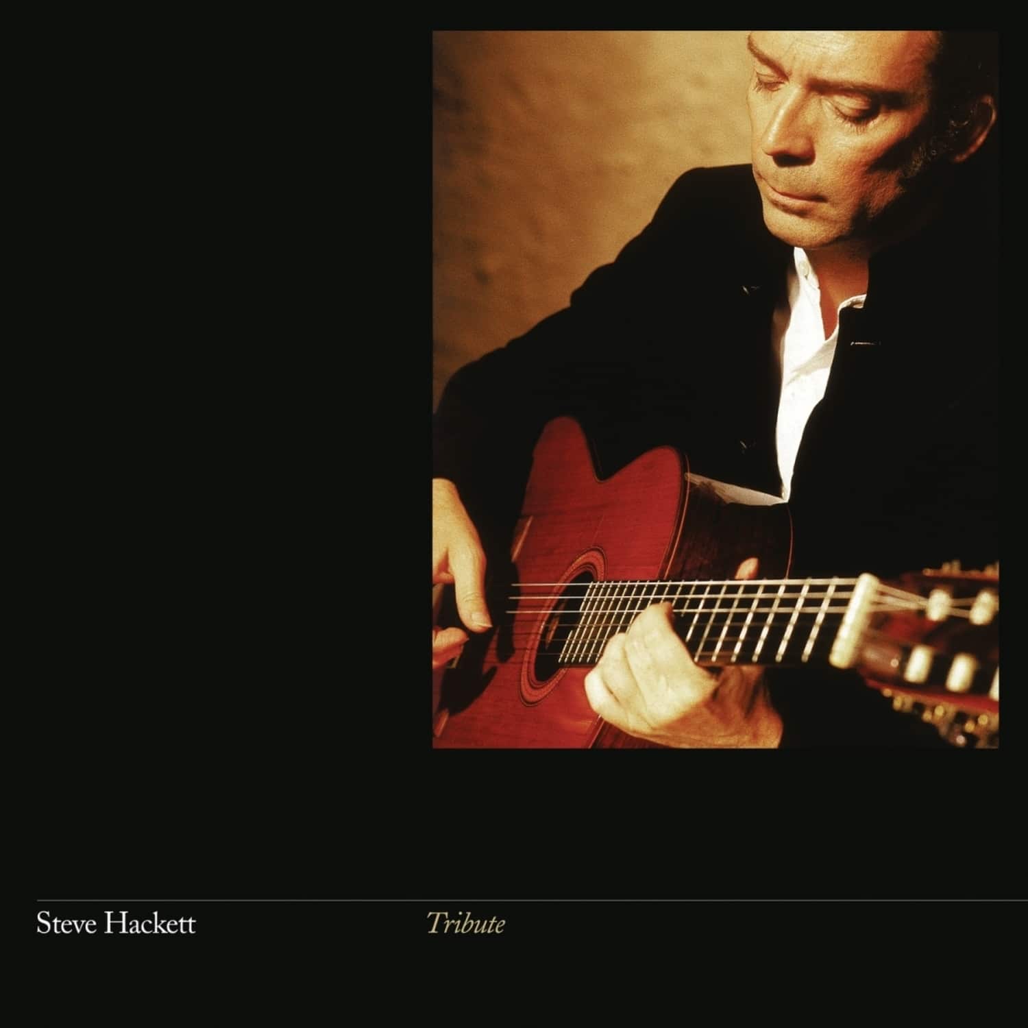 Steve Hackett - TRIBUTE 