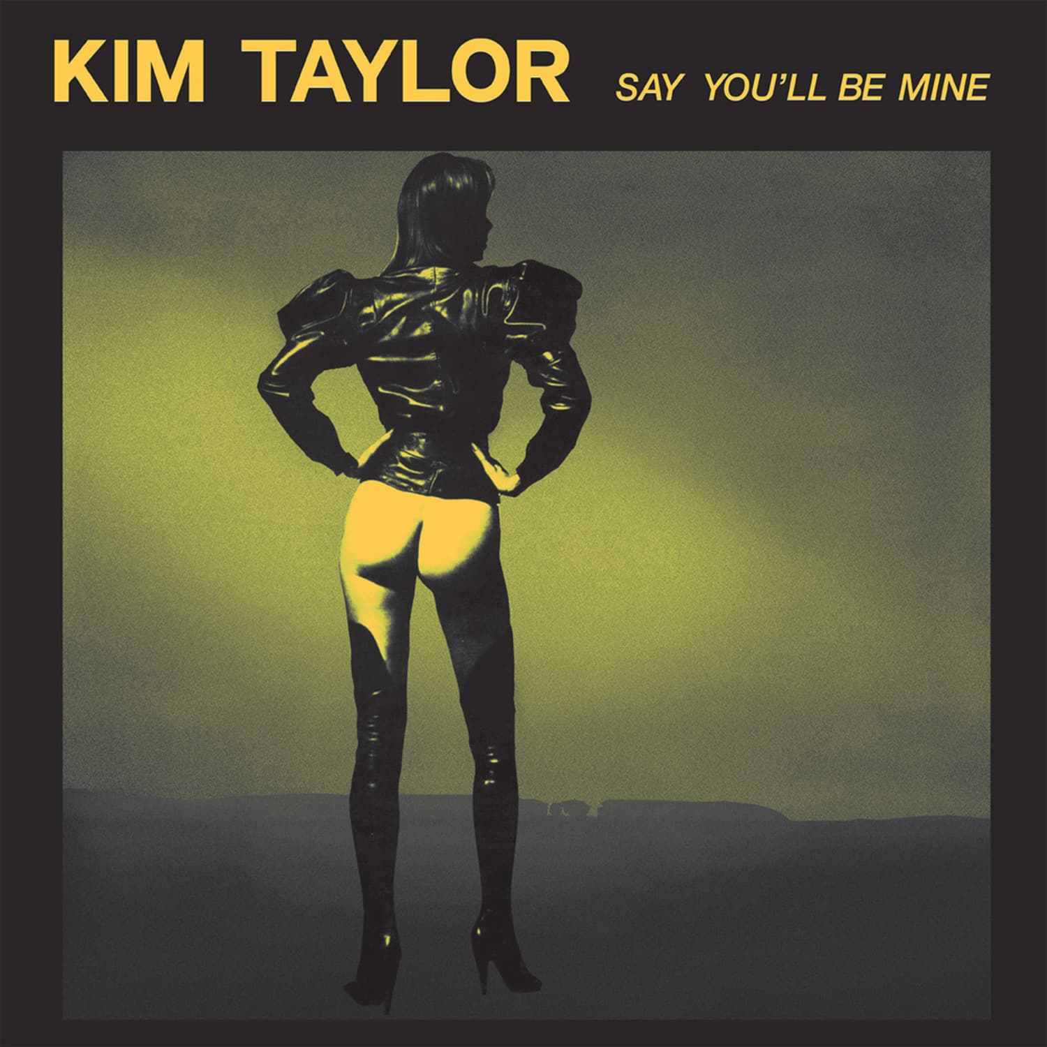Kim Taylor - SAY YOULL BE MINE EP