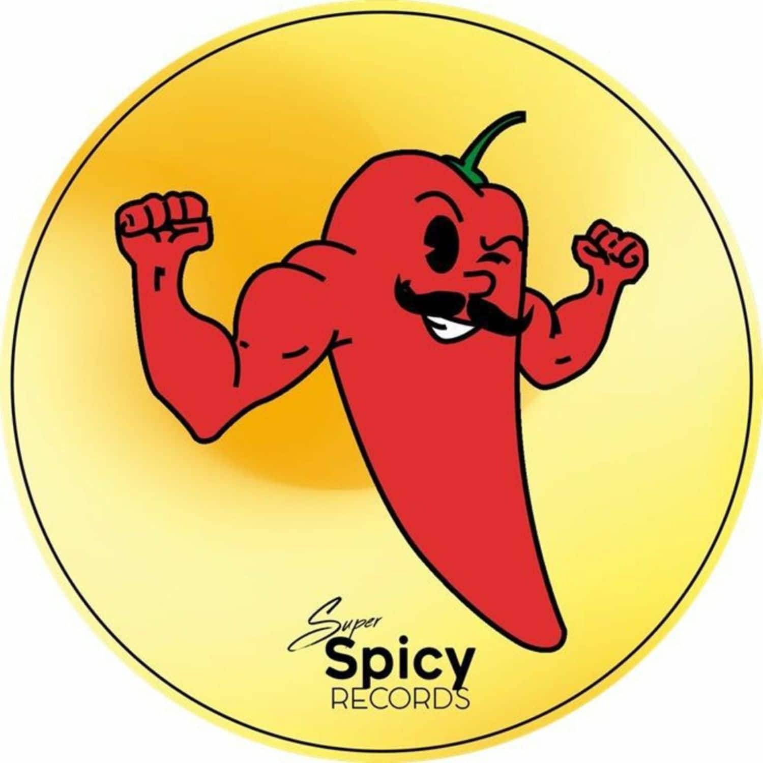 Joi N Juno / Saint Loup En Bray / Juan Soto... - SUPER SPICY RECIPE VOL 9