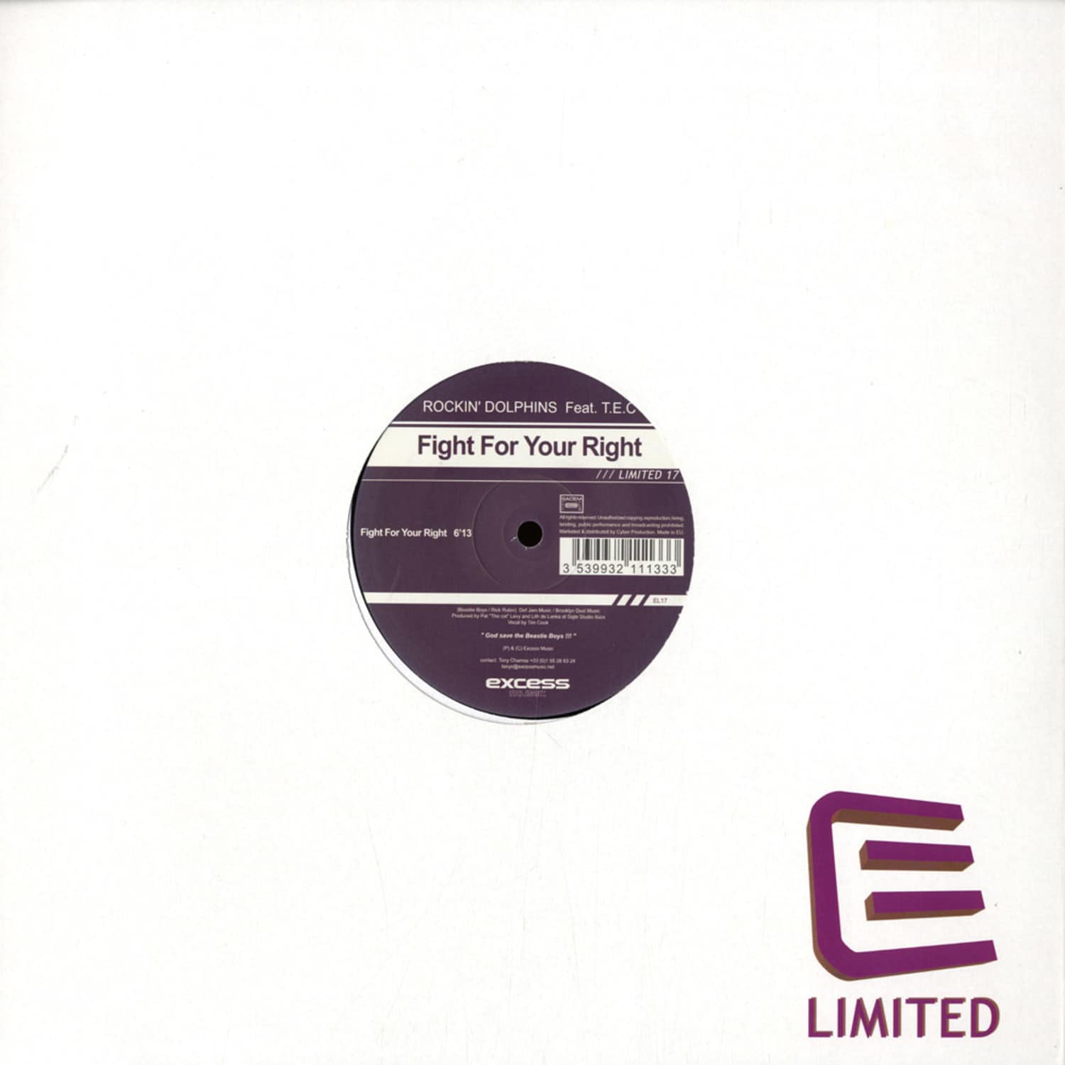 Rockin Dolphins feat. T.E.C. - FIGHT FOR YOUR RIGHT