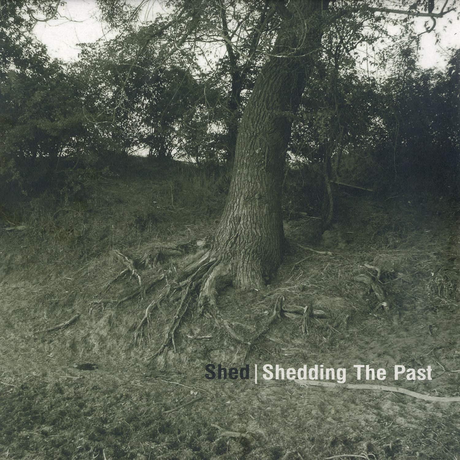 Shed - SHEDDING THE PAST 