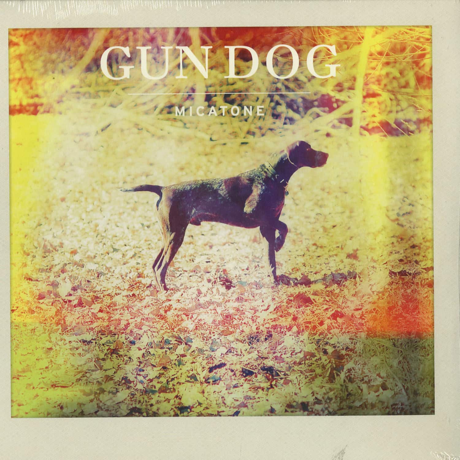 Micatone - GUN DOG 