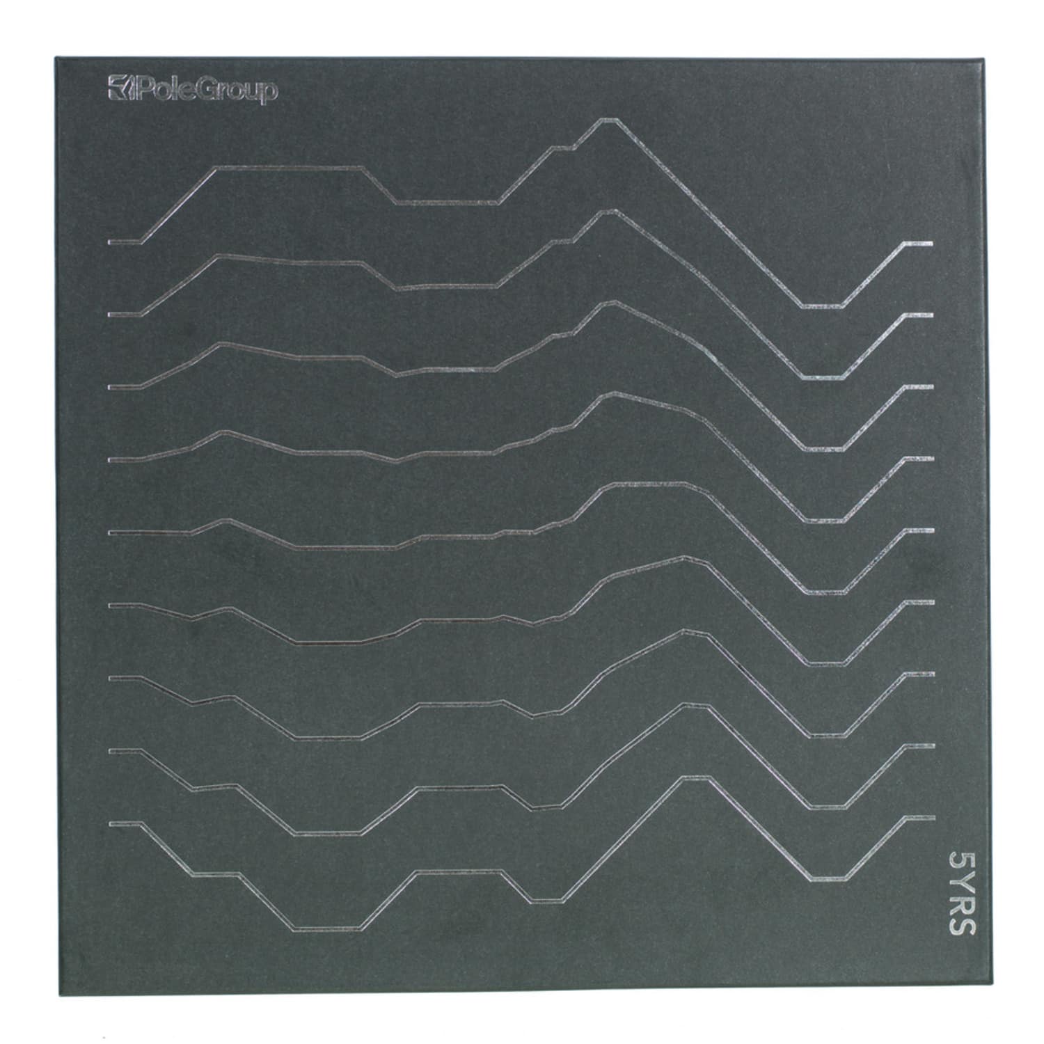 Various Artists - POLEGROUP 5YRS VINYL BOX