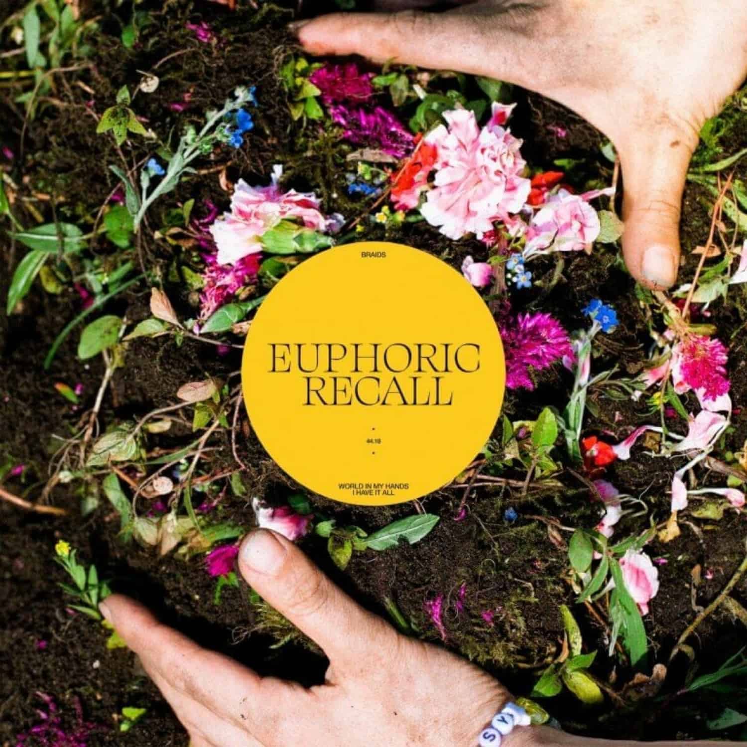 Braids - EUPHORIC RECALL 