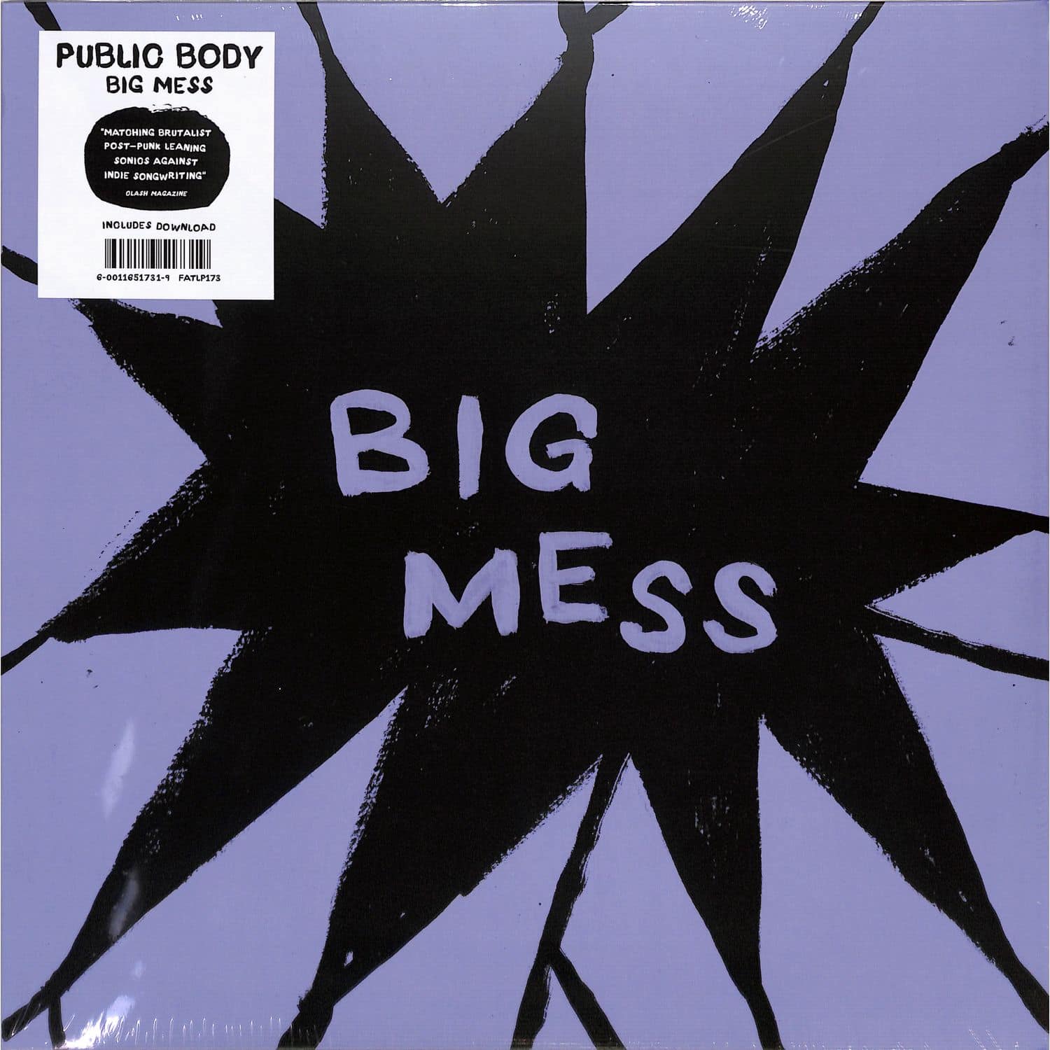 Public Body - BIG MESS 