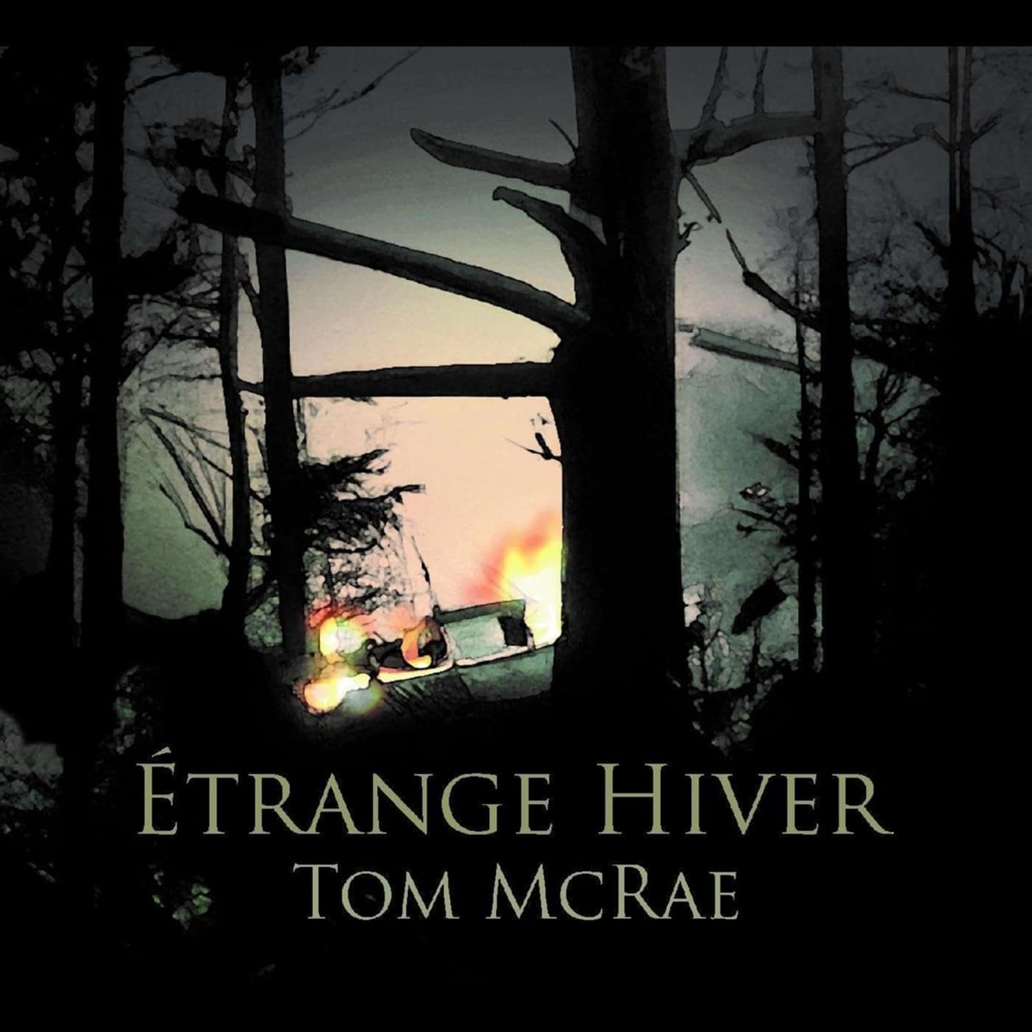 Tom McRae - TRANGE HIVER 