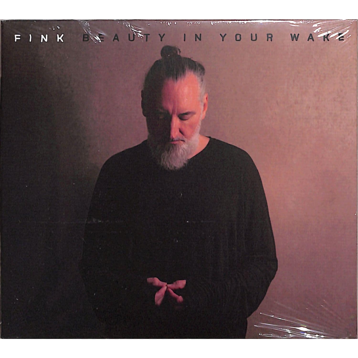 Fink - BEAUTY IN YOUR WAKE 
