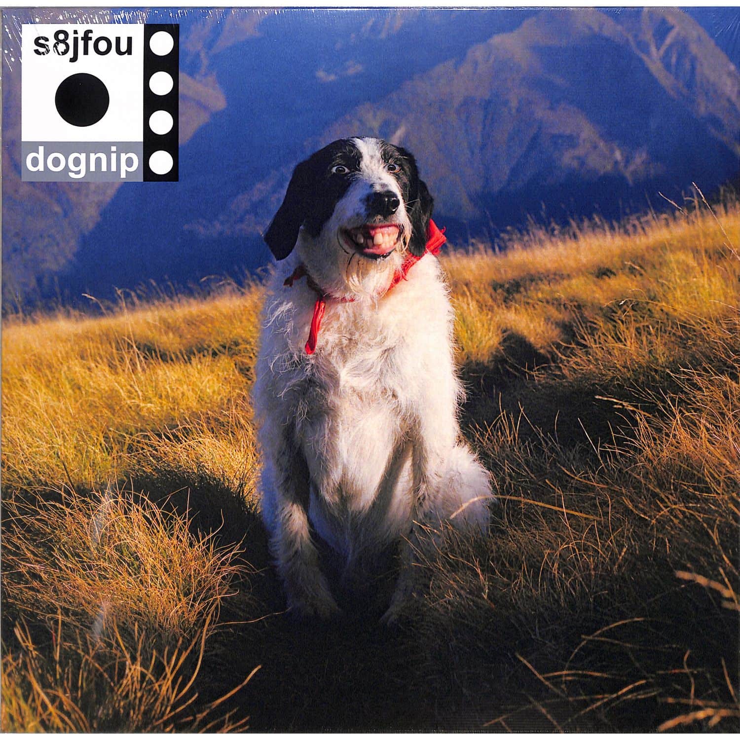 S8JFOU - DOGNIP 