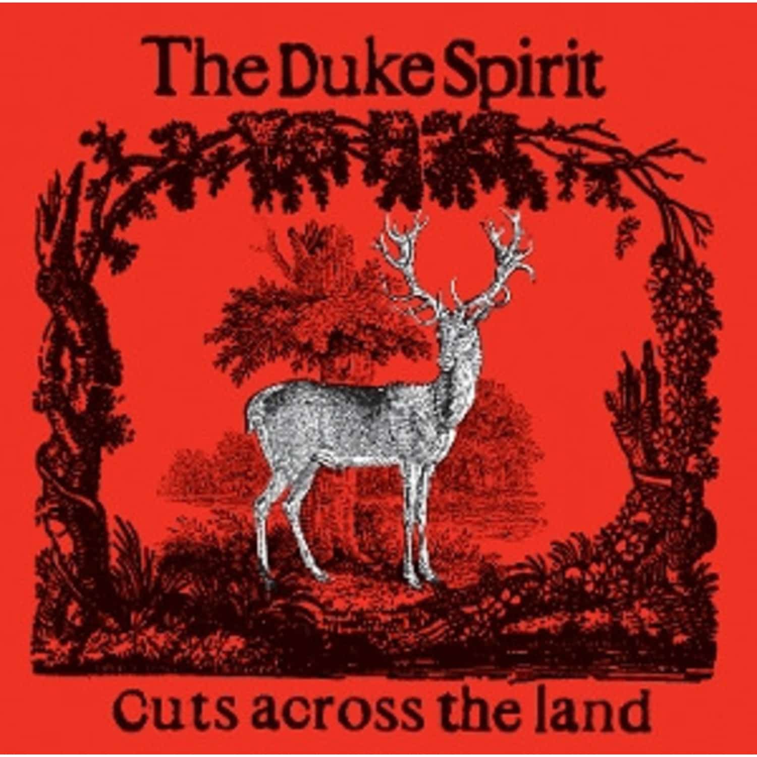 Duke Spirit - CUTS ACROSS THE LAND 
