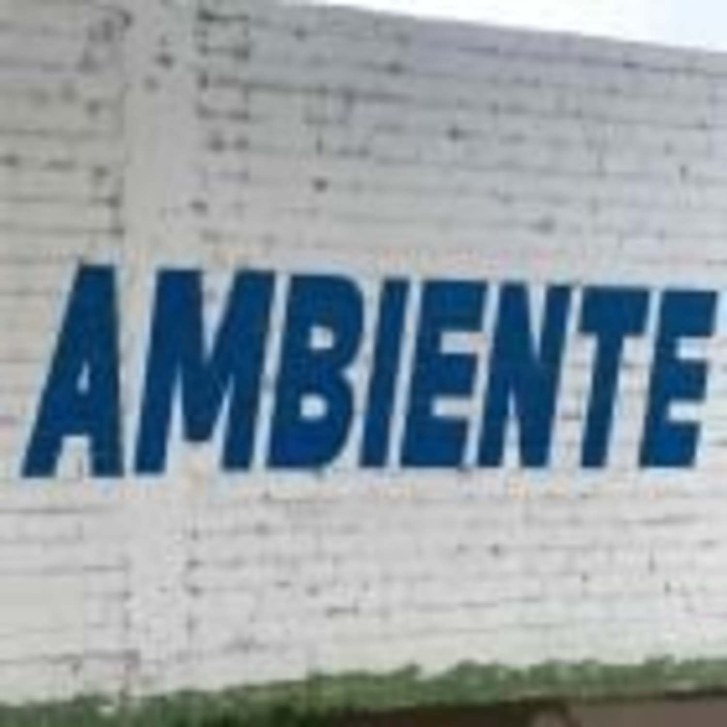 Jex Opolis - AMBIENTE