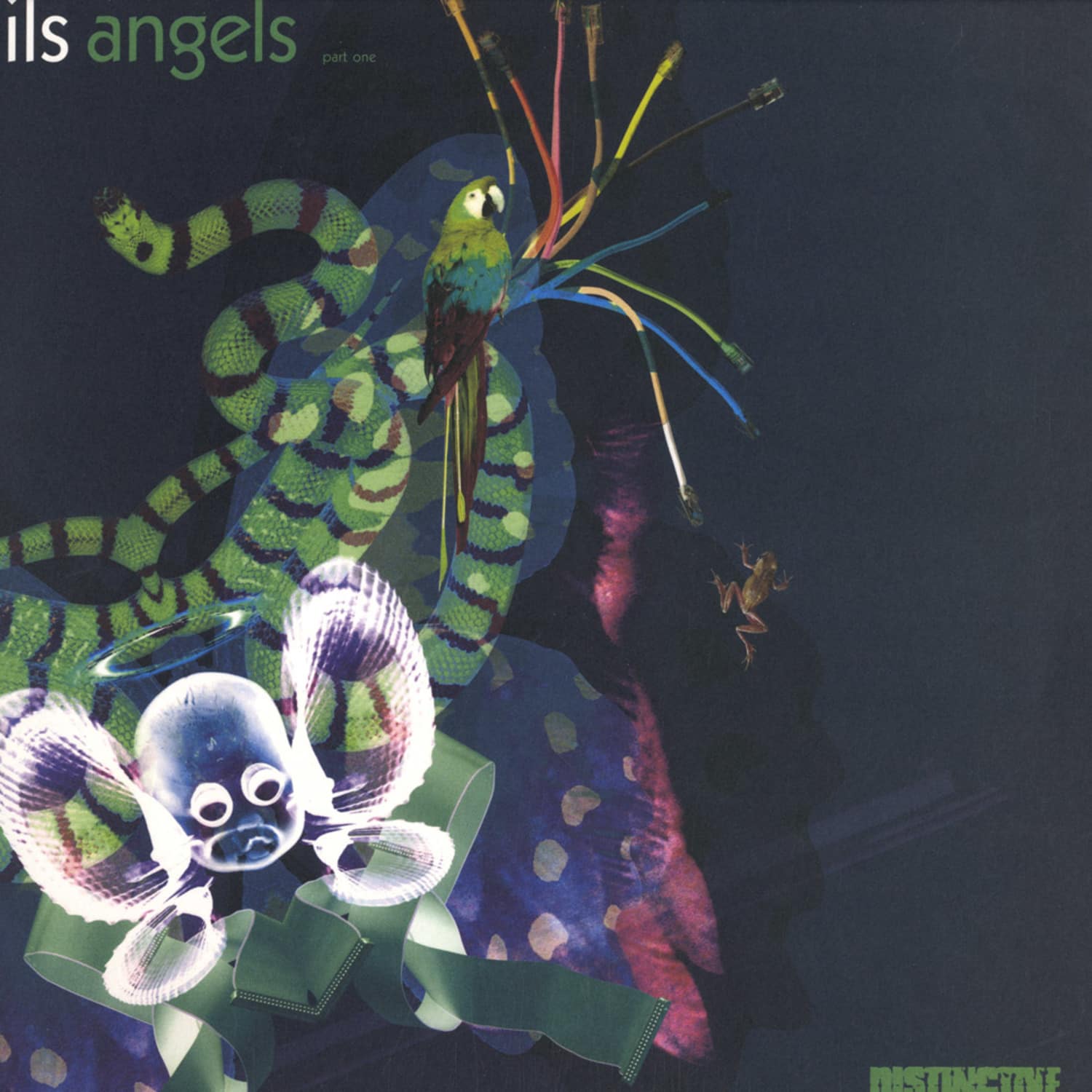 Ils Angels - PART ONE / ANGELS