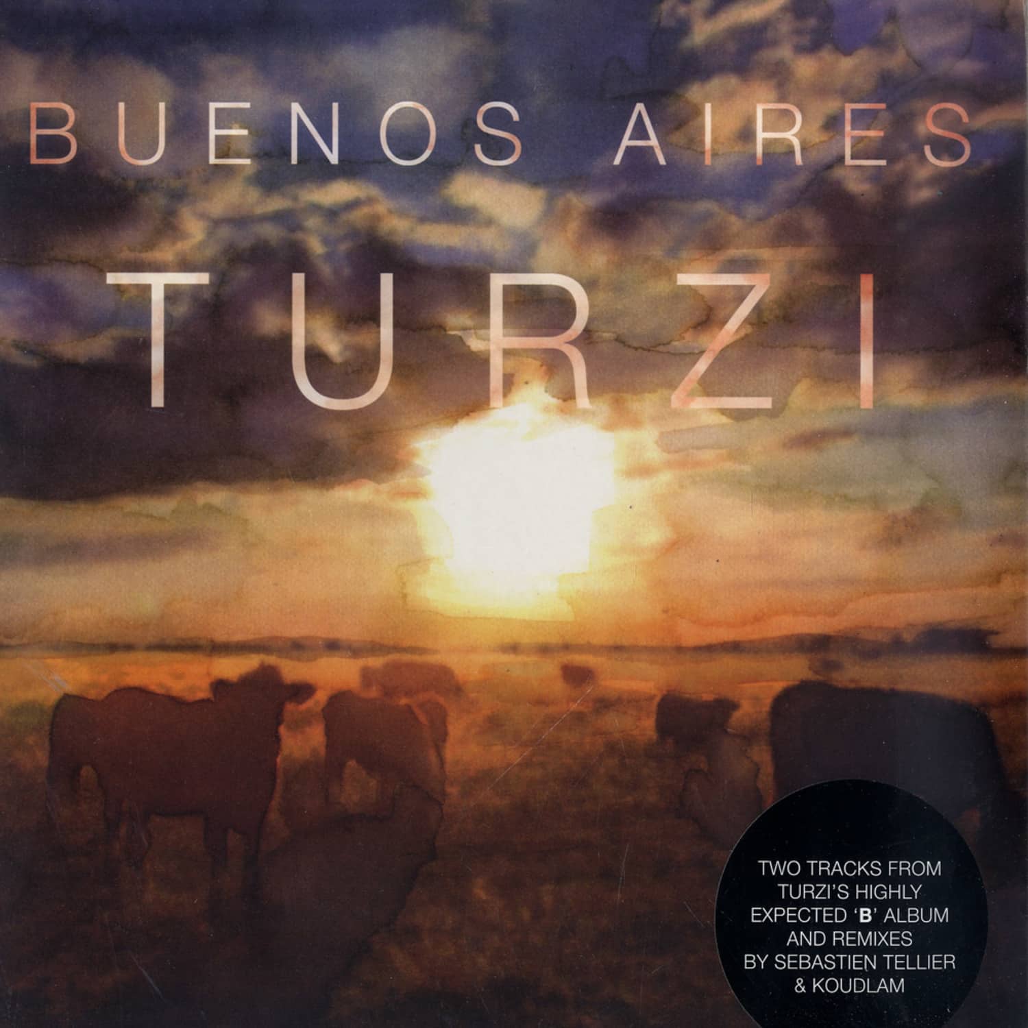 Turzi - BUENOS AIRES / BOMBAY 