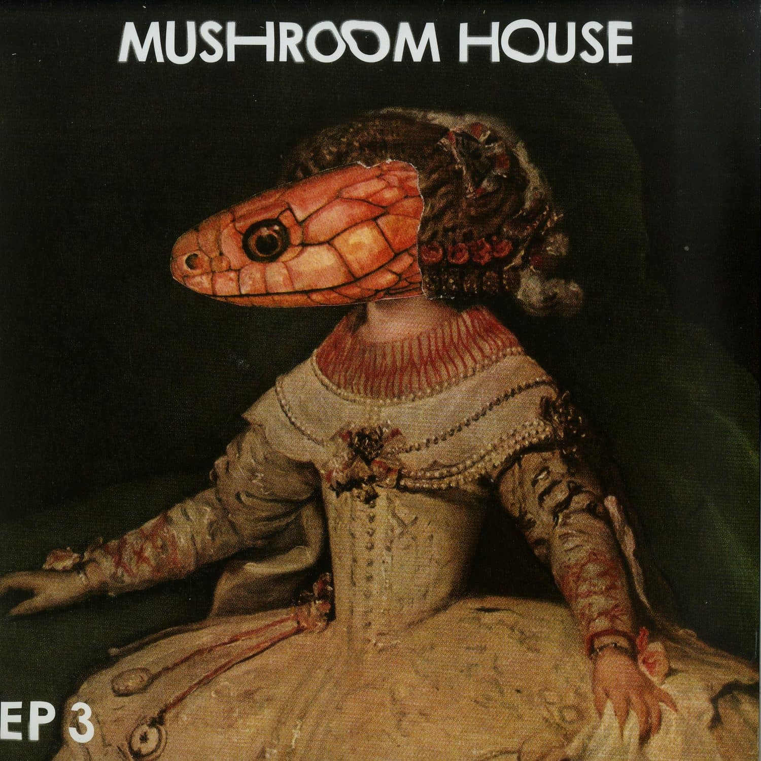 Various Artists - MUSHROOM HOUSE EP 3