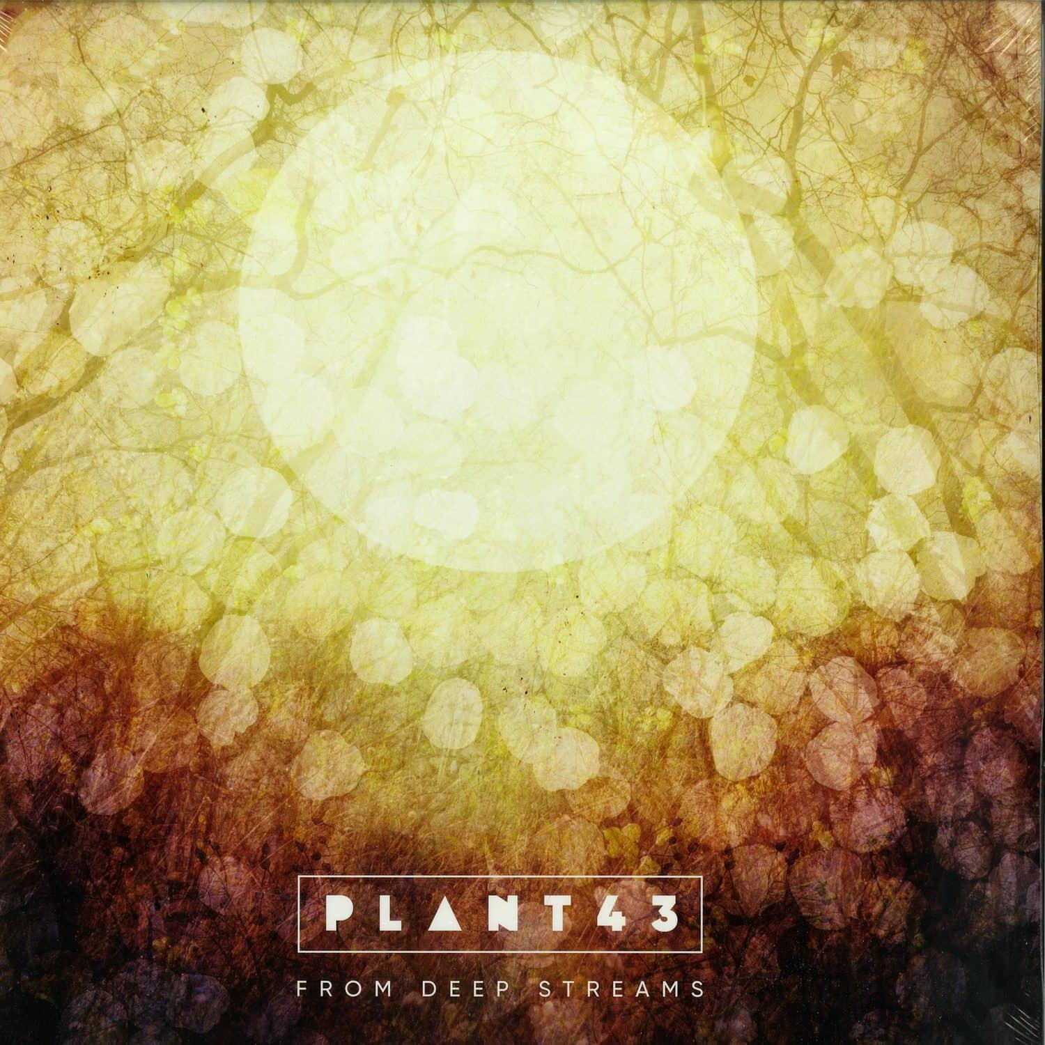 Plant43 - FROM DEEP STREAMS 