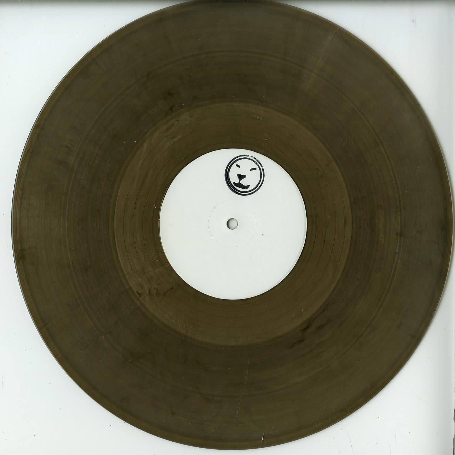 Skeleton Army - CATCHY SCHISMS 