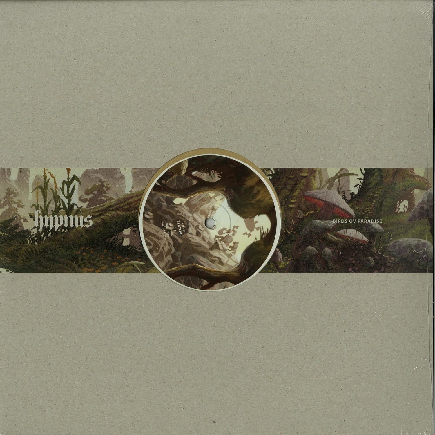 Birds ov Paradise - PLATEAU 