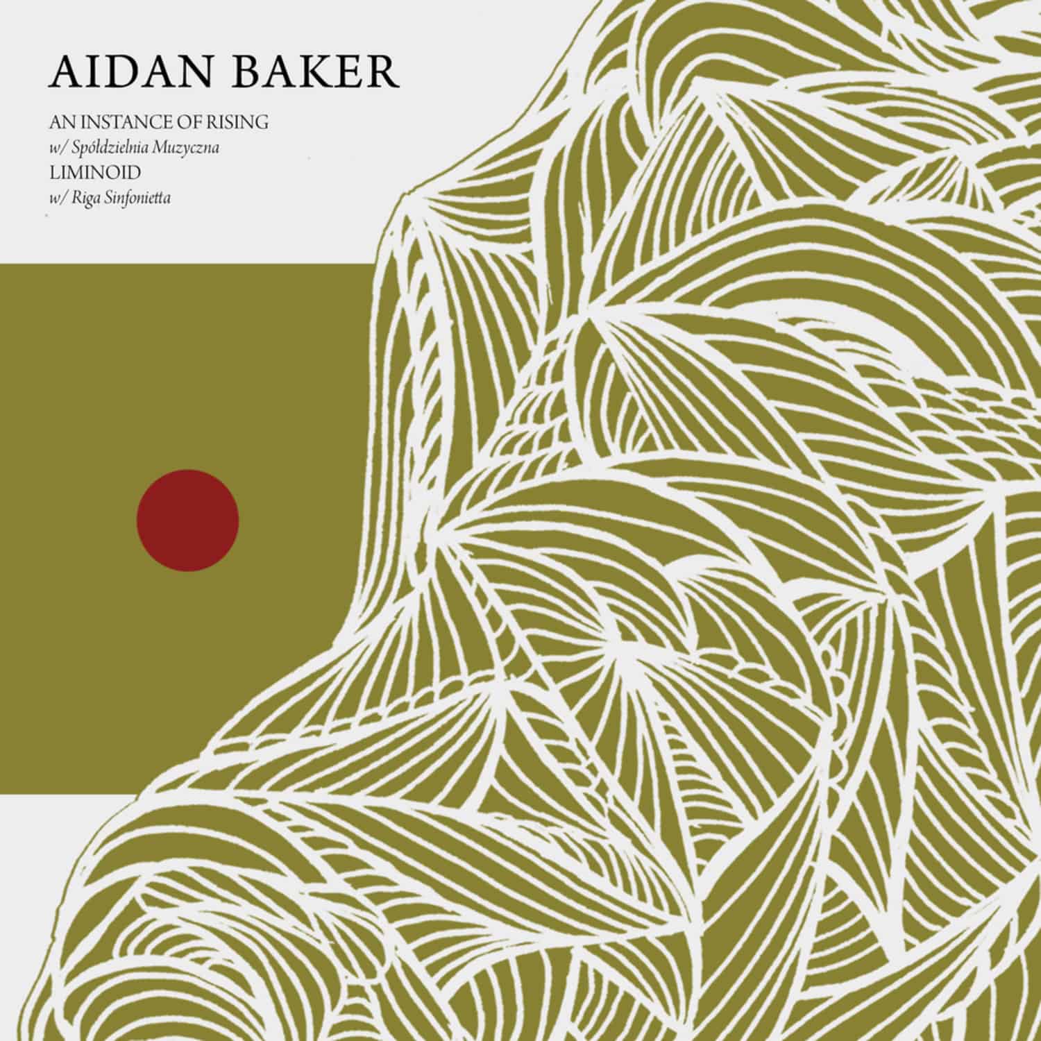 Aidan Baker - AN INSTANCE OF RISING / LIMINOID
