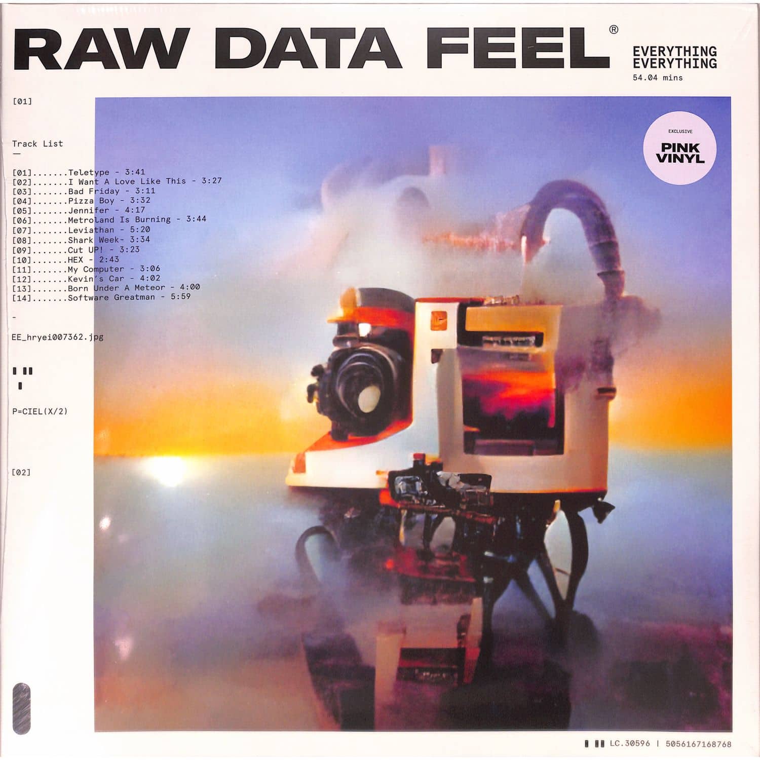 Everything Everything - RAW DATA FEEL 