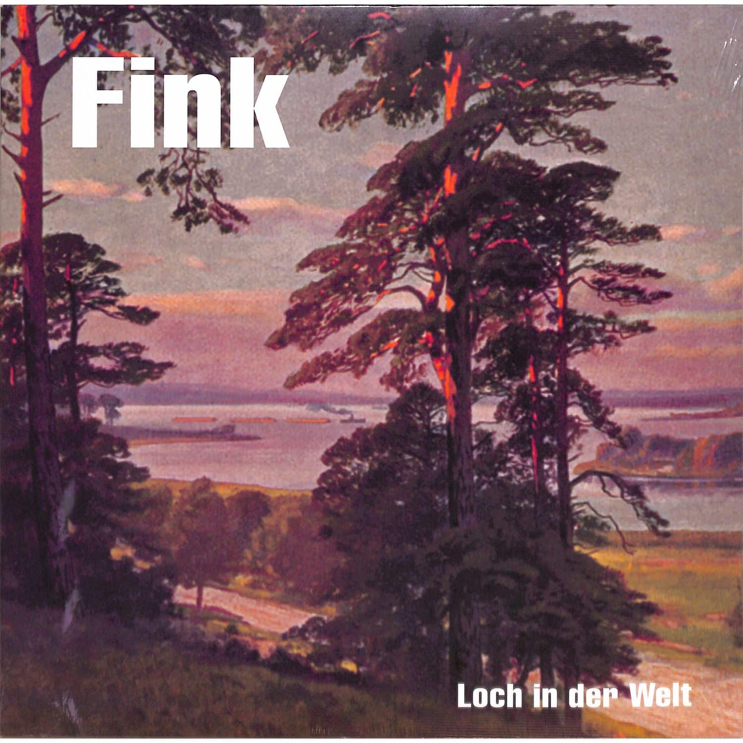 Fink - LOCH IN DER WELT 