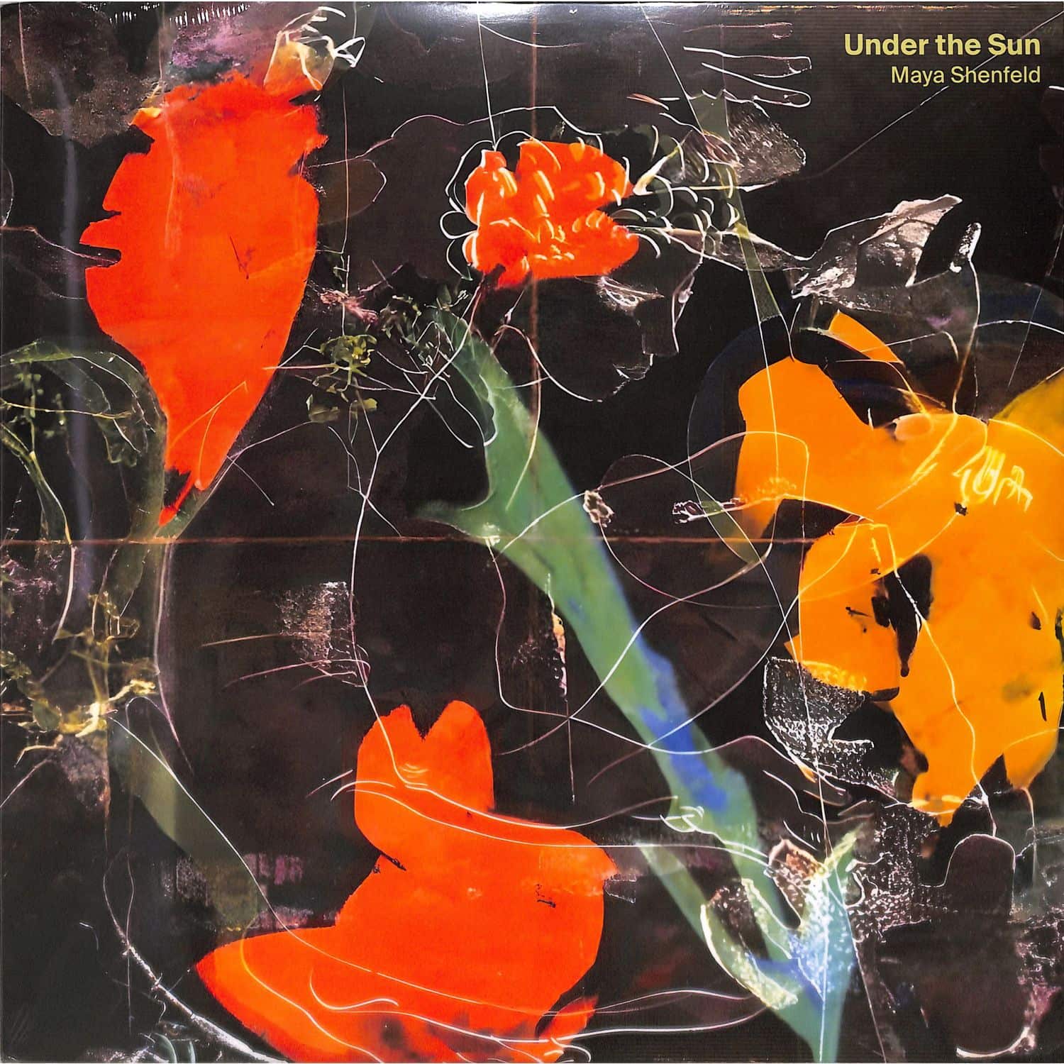 Maya Shenfeld - UNDER THE SUN 