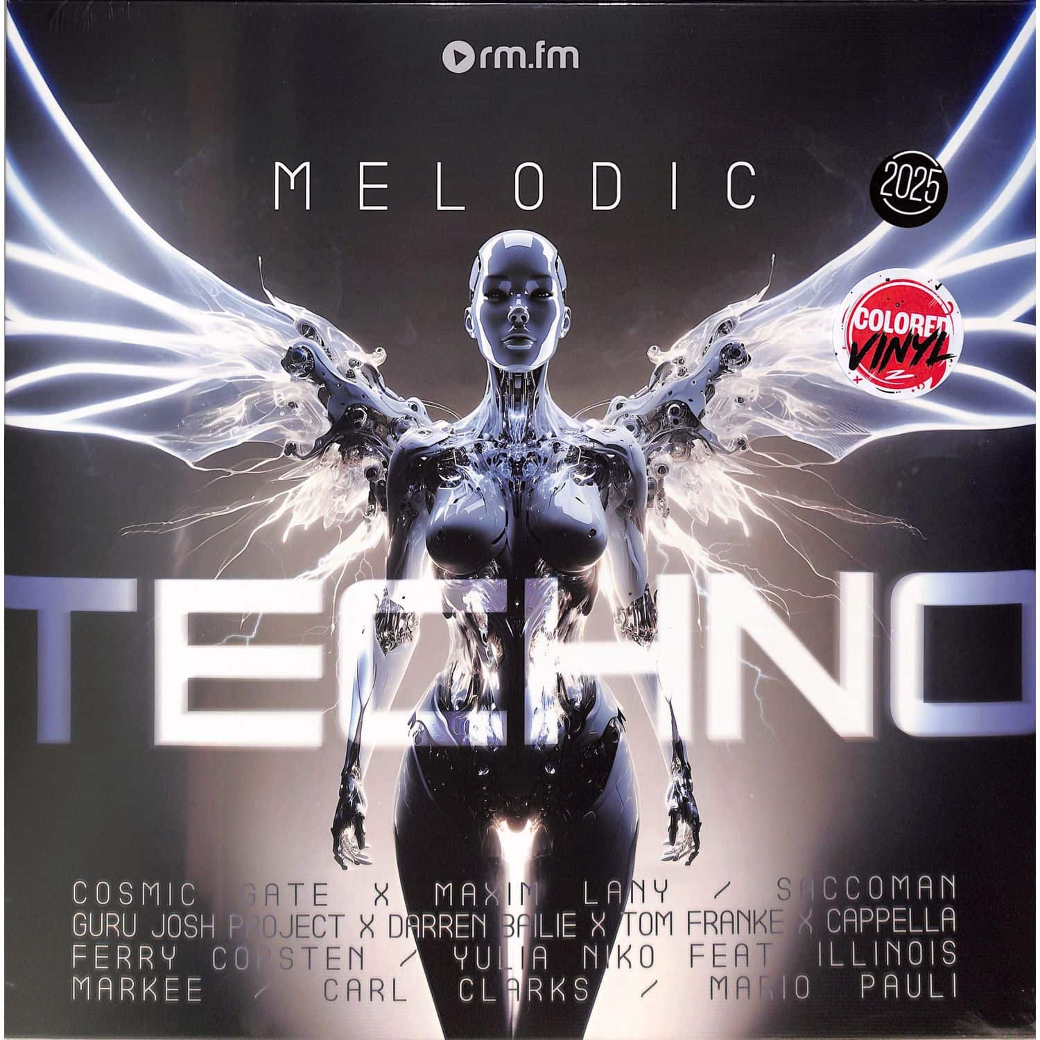 Various - MELODIC TECHNO 2025 