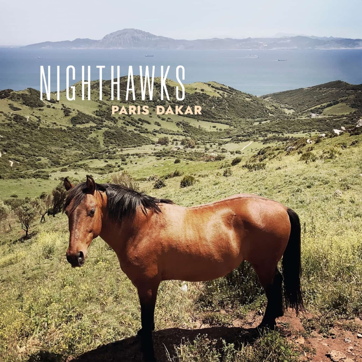 Nighthawks - PARIS-DAKAR 