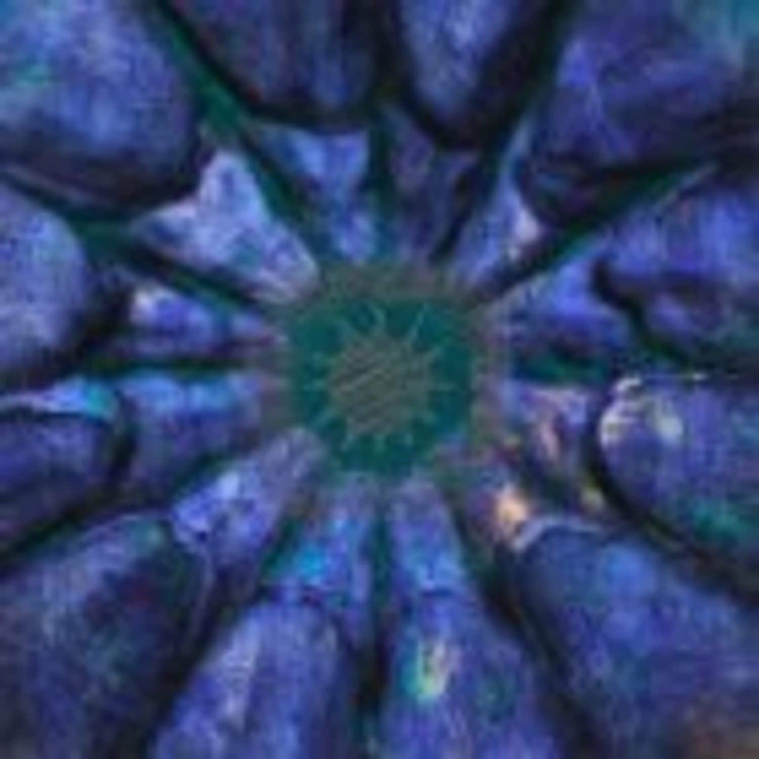 Edward J - AZURITE