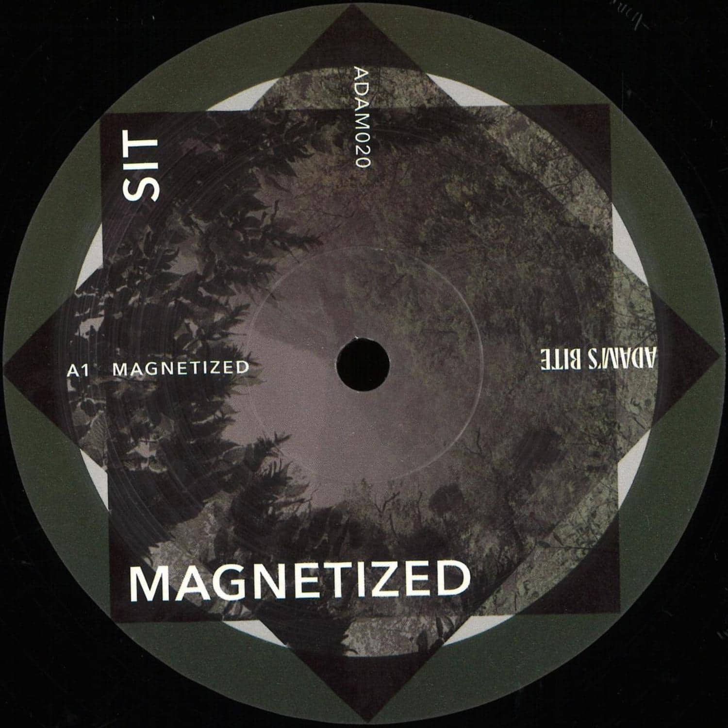 Sit - MAGNETIZED