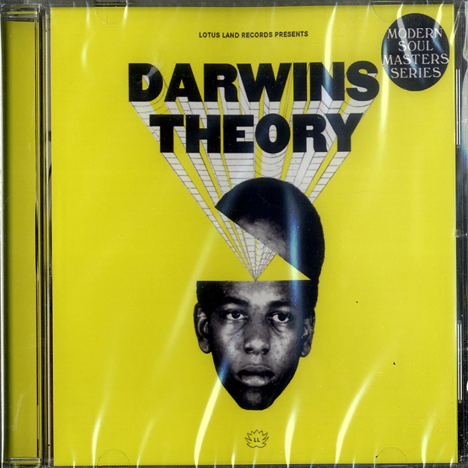 Darwins Theory - DARWINS THEORY 