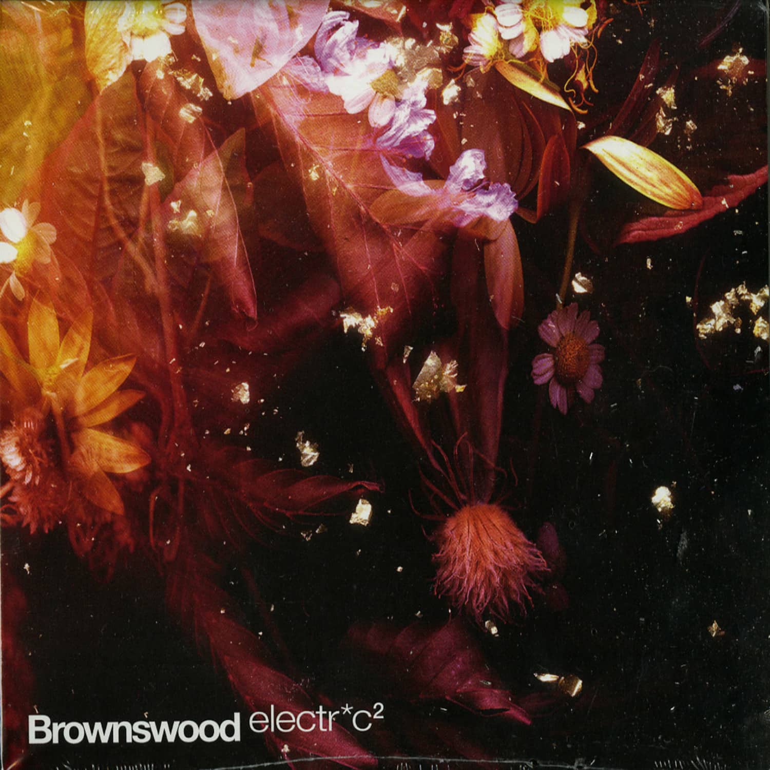 Various Artists - BROWNSWOOD ELECTRIC 2 