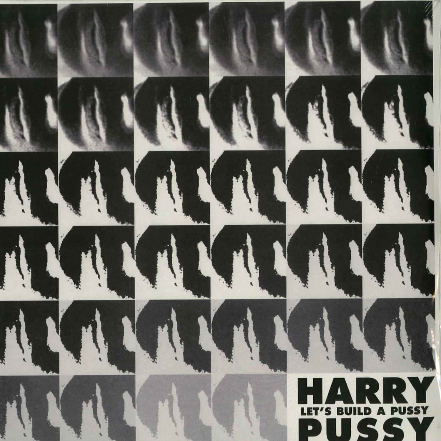 Harry Pussy - LETS BUILD A PUSSY 