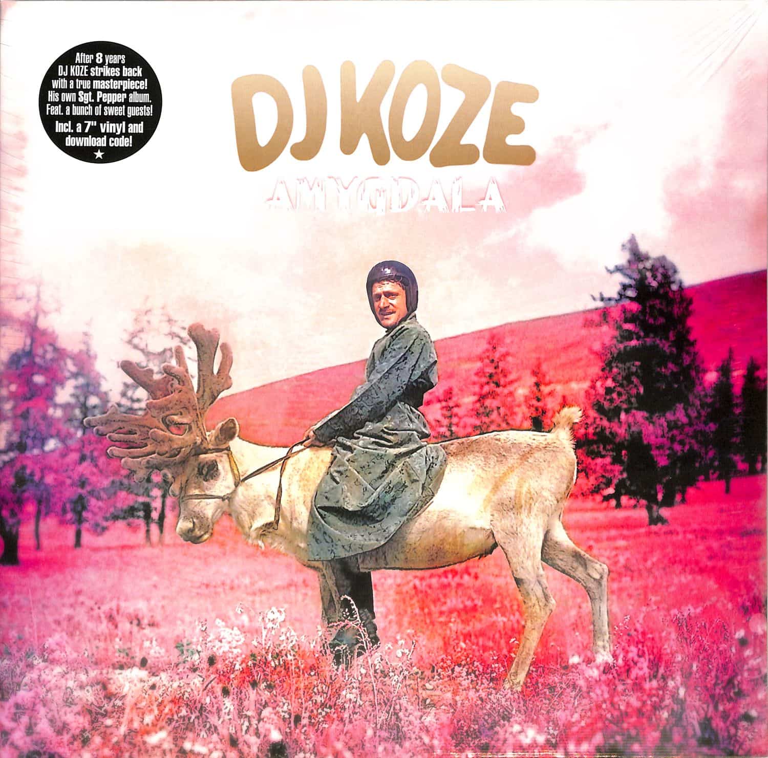DJ Koze - AMYGDALA 