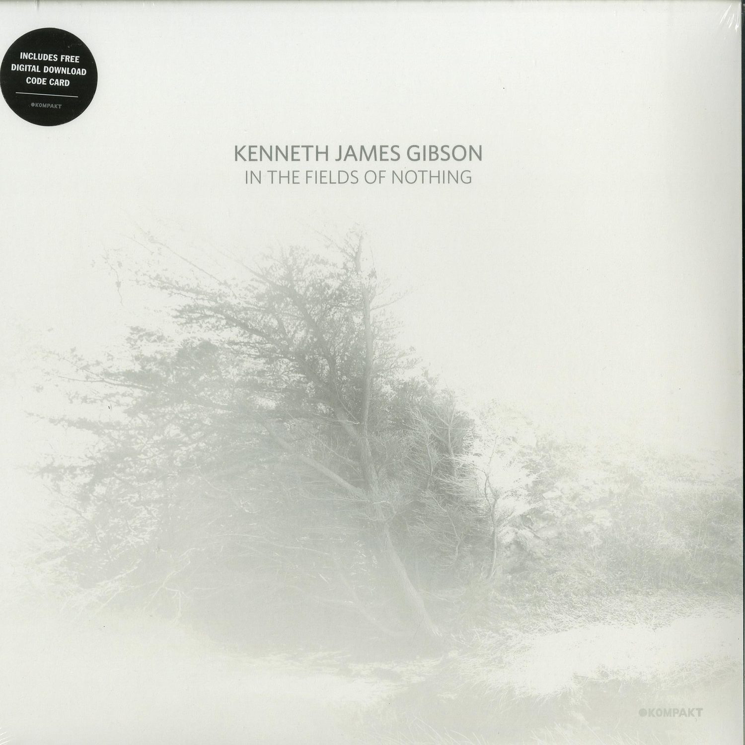 Kenneth James Gibson - IN THE FIELDS OF NOTHING 
