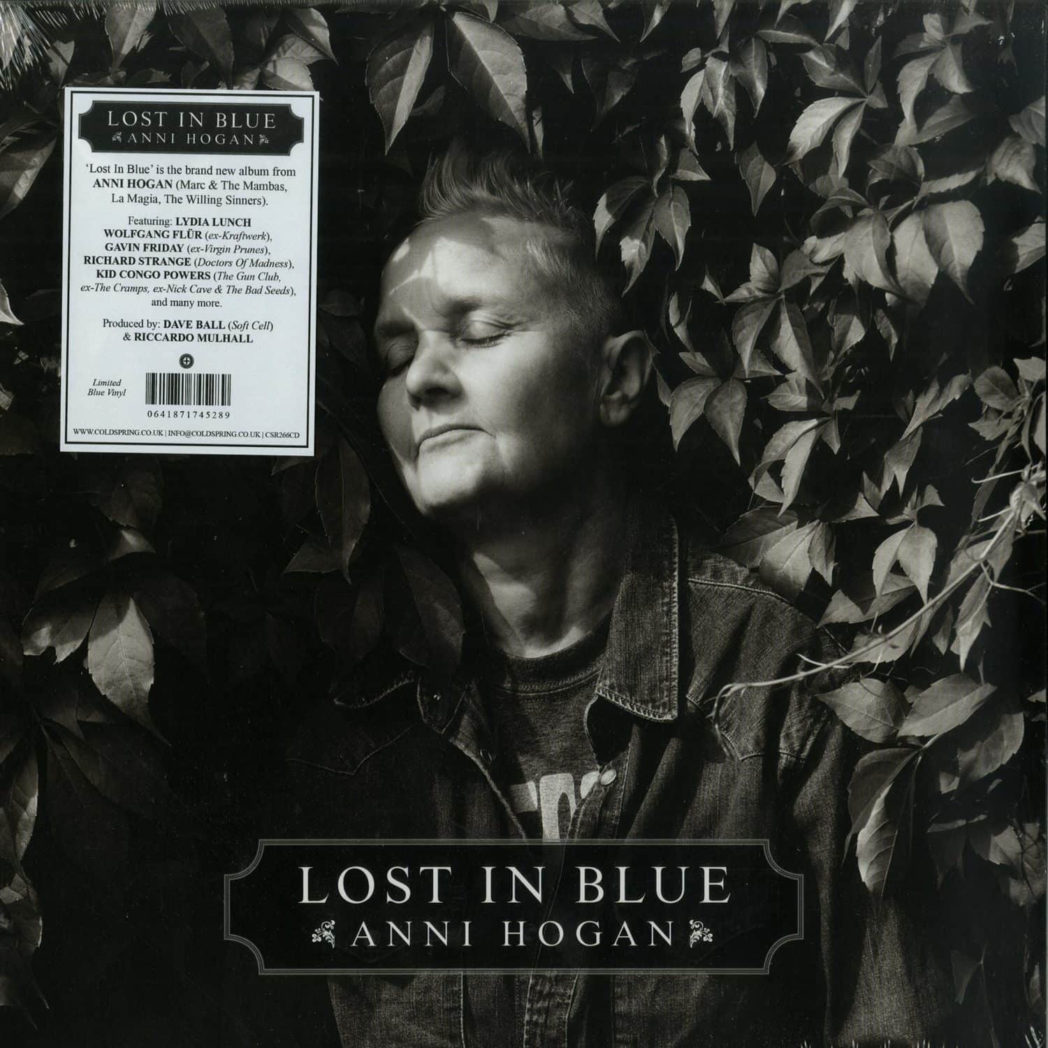 Anni Hogan - LOST IN BLUE 